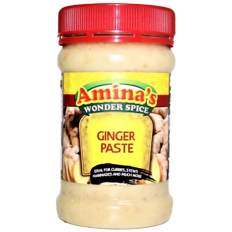 Amina's Paste 300g